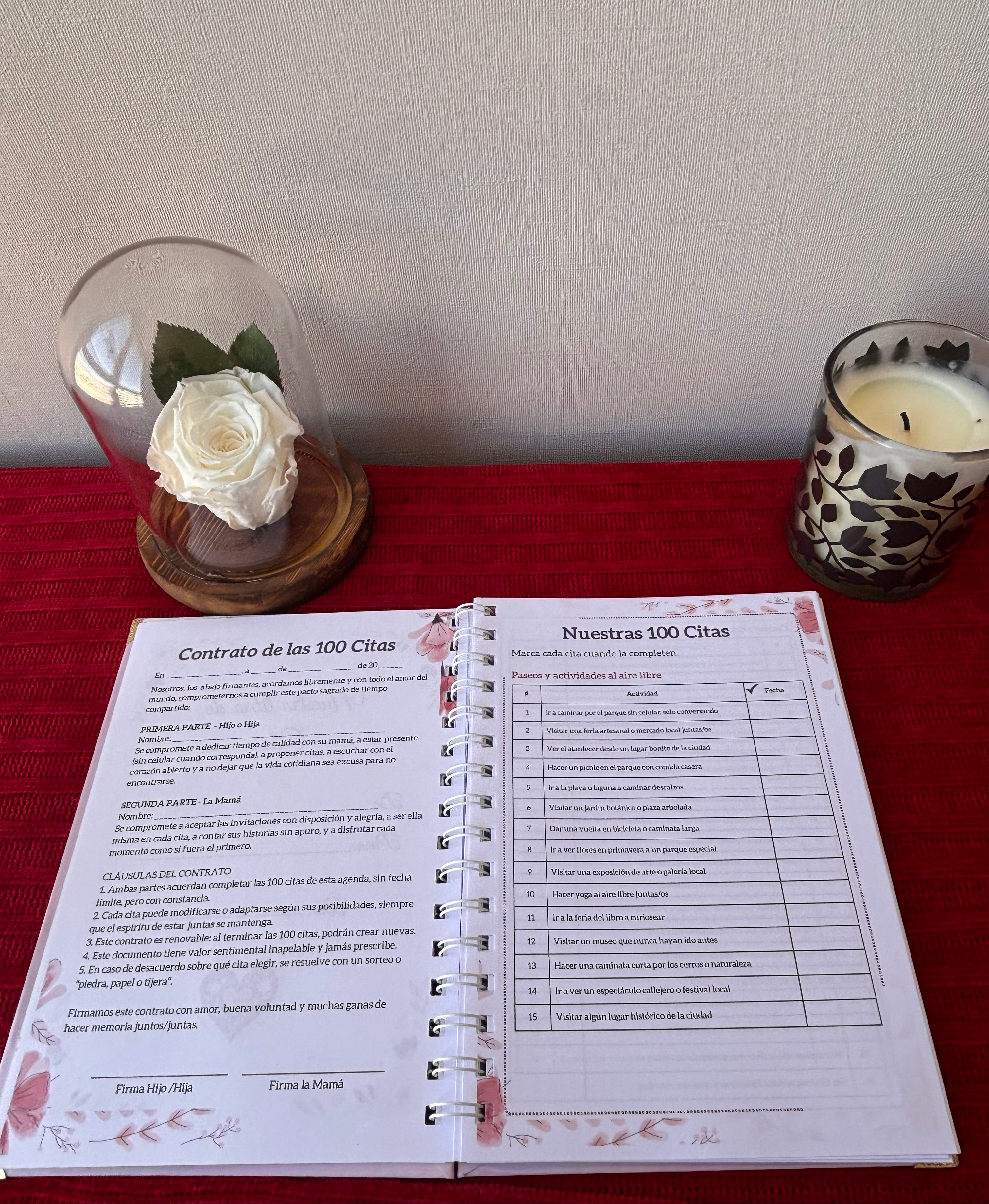 libro 100 citas con mi Mamá